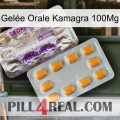 Gelée Orale Kamagra 100Mg new12